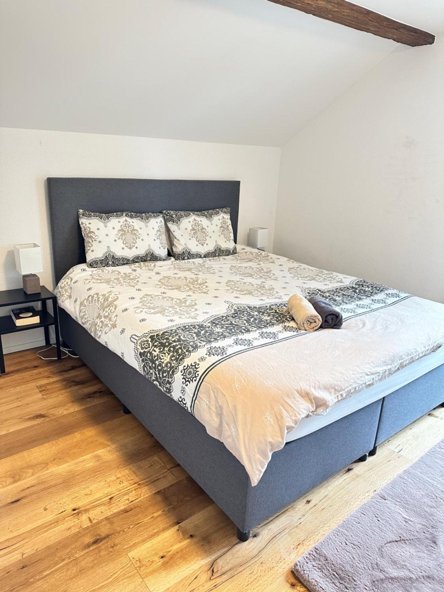 Stilvolle 2,5 Zimmer Wohnung سانت غالن المظهر الخارجي الصورة
