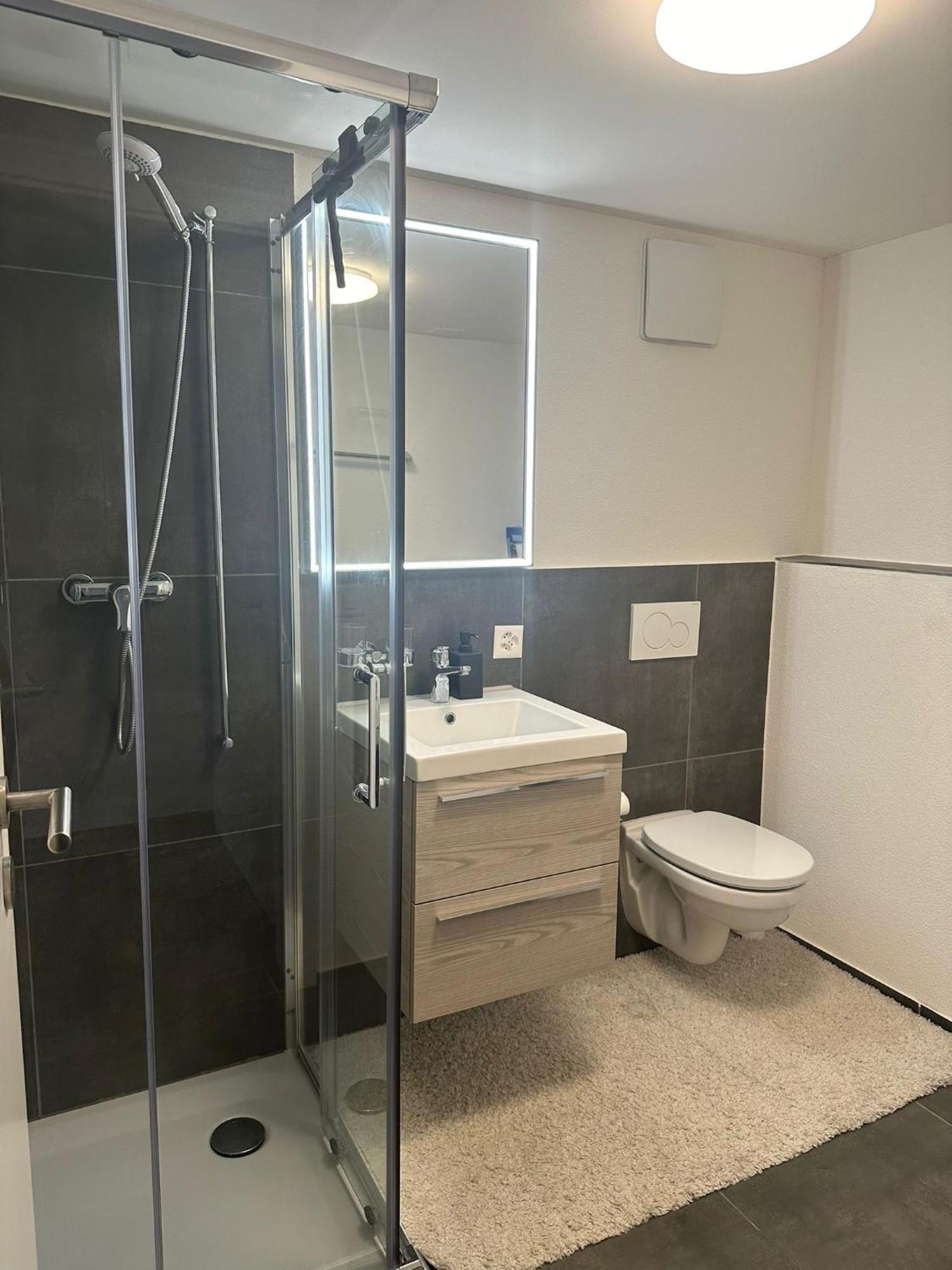 Stilvolle 2,5 Zimmer Wohnung سانت غالن المظهر الخارجي الصورة